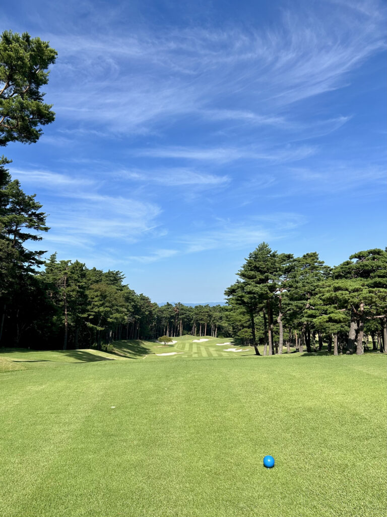 大山ゴルフ倶楽部の1番ホール。上田治設計、赤松林に囲まれた打ち下ろしのスタートホール