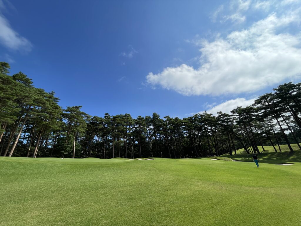 大山ゴルフ倶楽部の赤松林に囲まれたフェアウェイと青空の景観