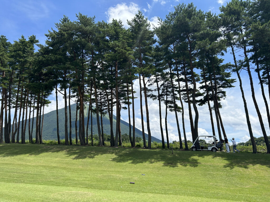 大山ゴルフ倶楽部の赤松林越しに望む大山とフェアウェイの景観