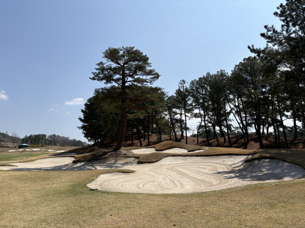 有馬ロイヤルゴルフクラブ ノーブルコース18番ホール。手前に砂模様が美しい大きなバンカー、その奥に威風堂々とした松の木が一本立ち、さらに奥には深い松林が続く戦略的な景色。